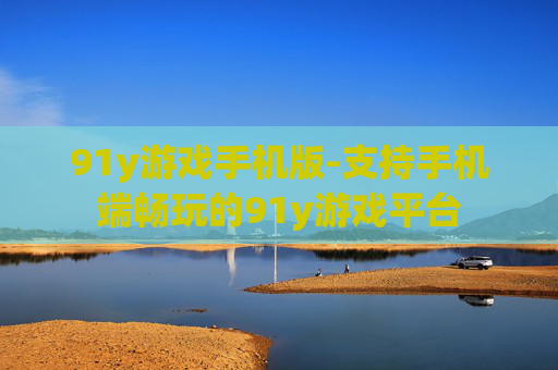 91y游戏手机版-支持手机端畅玩的91y游戏平台