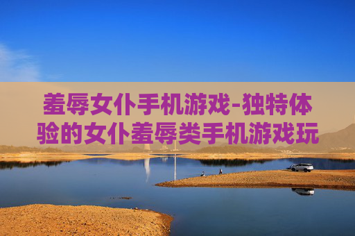 羞辱女仆手机游戏-独特体验的女仆羞辱类手机游戏玩法