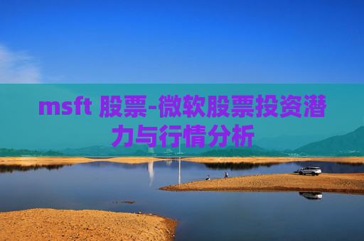 msft 股票-微软股票投资潜力与行情分析
