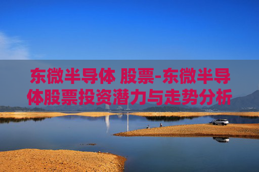 东微半导体 股票-东微半导体股票投资潜力与走势分析