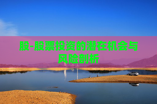 股-股票投资的潜在机会与风险剖析