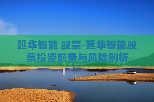 延华智能 股票-延华智能股票投资前景与风险剖析