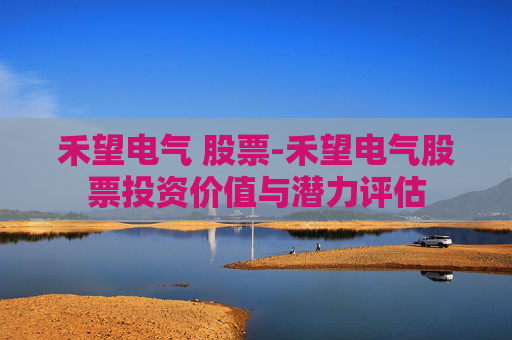 禾望电气 股票-禾望电气股票投资价值与潜力评估