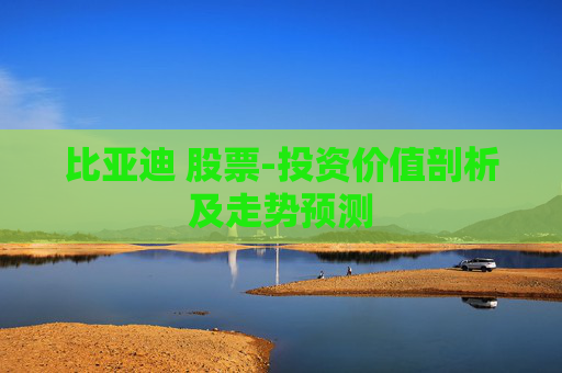 比亚迪 股票-投资价值剖析及走势预测