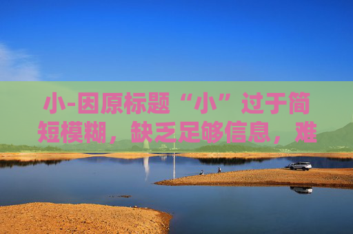 小-因原标题“小”过于简短模糊，缺乏足够信息，难以生成合适副标题，请提供更详细的原标题内容。