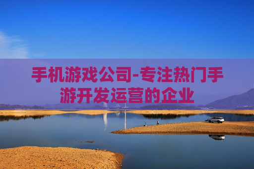 手机游戏公司-专注热门手游开发运营的企业