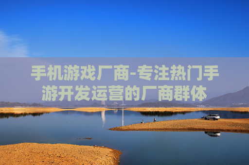 手机游戏厂商-专注热门手游开发运营的厂商群体