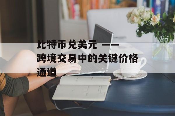 比特币兑美元 —— 跨境交易中的关键价格通道